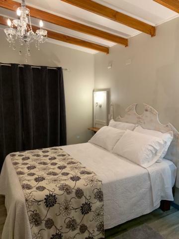 Hostel Chaman Osorno Zewnętrze zdjęcie